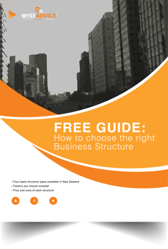 business structure guide business structure guide